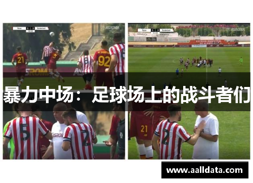 暴力中场：足球场上的战斗者们